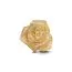 Pandora Rose in Bloom Oversized Charme, vergoldet 763675C00-1