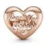 Pandora Moments Rose Than You Mom hela 781451C00-2