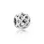 Pandora Infinite Shine - Charme 791872-1