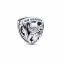 Pandora Marvel x Pandora Guardians of The Galaxy Rocket Raccoon & Groot Emblem hela 792565C01-1