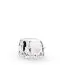 Pandora Camper Van berlock 797871EN160-1