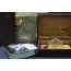 Pre-Owned Rolex Day-Date 18038-12