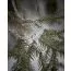 Kalevala Live Hard Live Your Dream Armband 256911060-3