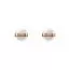 Daniel Wellington Aspiration Rose Gold Satin White -korvakorut DW00400152-1