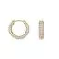 Daniel Wellington Pave Zirkonia korvakorut DW00400642-1