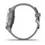 Garmin Vivoactive 4S Pudergrå Med Silverdetaljer 010-02172-02-4