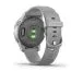 Garmin Vivoactive 4S Pudergrå Med Silverdetaljer 010-02172-02-3