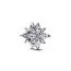 Pandora Sparkling North Star Charme 793591C01-2