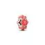 Pandora Coral-coloured Ocean Charme 793897C01-2