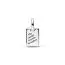 Pandora Travel Dangle Charme 793913C01-2