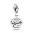 Pandora Friends Are Family Charme 798124EN16