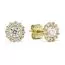 Gold Ohrringe K-E36282Z-1
