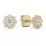 Gold BlumeOhrringe K-E96749Z-1