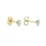 Brilliant Star Ohrringe mit Labordiamanten LES01068 YG 0.50