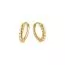 Gold hoop earrings OT403523