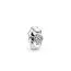 Pandora Polished berlock 798310CZ-1