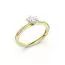 Brilliant Star Diamantring / Labordiamanten RS07711 YG 0.5CT