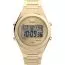 Timex Q80 TW2Y09700-1