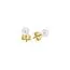 Perlen Ohrringe, vergoldet Y22505,5M-WP-9-G6-1