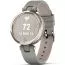 Garmin Lily Classic Braloba Grey 010-02384-B2-3