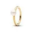 Pandora 14k Gold-Plated Timeless Treated Freshwater Cultured Pearl sormus 163157C01-1