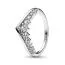 Pandora Timeless Wish Half Sparkling sormus 192320C01-14