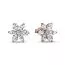 Pandora Timeless Sparkling Herbarium Cluster korvakorut 282407C01-1