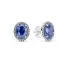 Pandora Sparkling Statement Halo Stud -korvakorut 290040C01-1