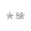 Pandora Sparkling Snowflake -korvakorut 299239C01-1