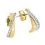 Gold Ohrringe 30043-BI-1