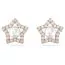 Swarovski Stella korvakorut 5645465-1