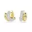 Swarovski Dextera Hoop korvakorut 5740735