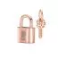 Pandora Rose Padlock & Key hela 780088C01-1