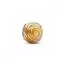 Pandora Yellow Rose in Bloom hela 793212C02-1