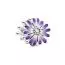 Pandora Purple Daisy -hela 798775C02-1