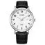 Citizen BI5070-06A-1