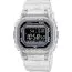 Casio G-Shock Limited Edition DW-B5600G-7ER-2