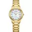 Citizen Eco-Drive FE1242-78D-2