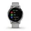 Garmin Vivoactive 4S Powder Gray / Silver 010-02172-02-1