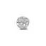 Pandora Textured Skull Mini Charm hela 794040C00