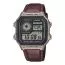 Casio Collection AE-1200WHL-5AVEF-1