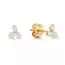 Kultaiset korvakorut K-E58842Z-1