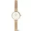 Daniel Wellington Petite Mini DW00100745-1