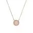 Michael Kors Necklace MKJ4330791-1