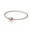 Pandora Rose Moments Armband (17cm) 587132-1