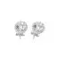 Hopeiset korvakorut CE05734-1