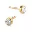 Kultaiset korvakorut SA-0206/03Z-1