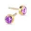Kultaiset korvakorut, violetti kivi SA-0206/04amet-1
