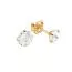 Kultaiset tappikorvakorut STP-ER-1STN4S-R4-1