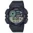 Casio WS-1500H-1AVEF-1